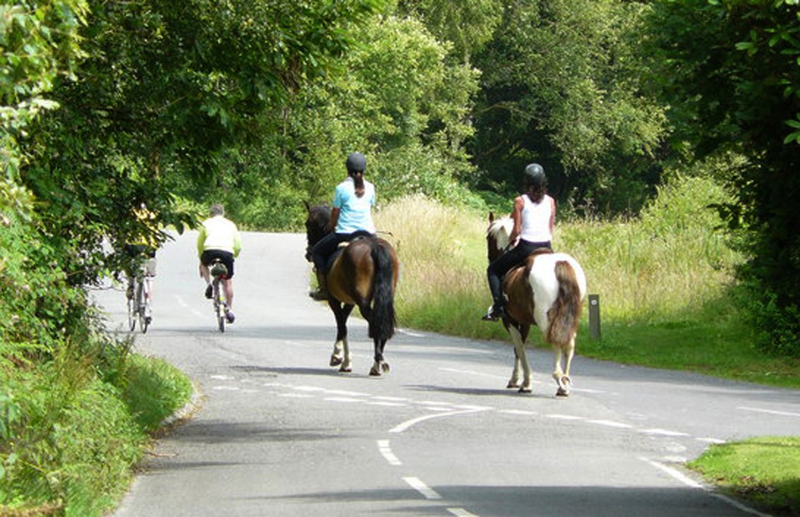 Two cyclists ahead of two horse riders on a country road in summer