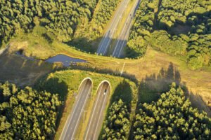 Vegetated bridge across highway for wildlife to use