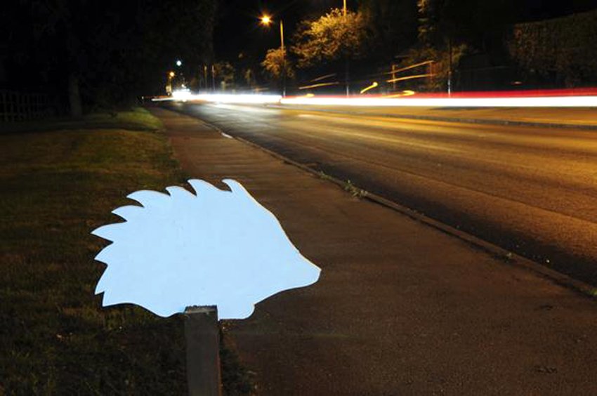 White silhouette of hedgehog against a background of road at night